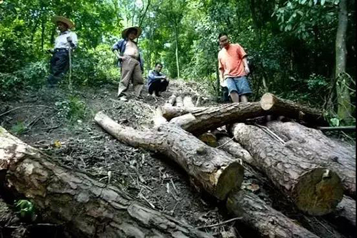 ��t��֦�Ҿ������M(j��n)�롰���ƻ����r��