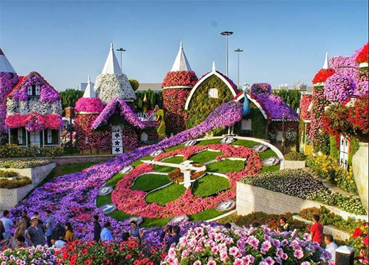 ��(chu��ng)������ֹ�������ܳɾ�ˇ�g(sh��)Ϳ���ИI(y��)��Ʒ��