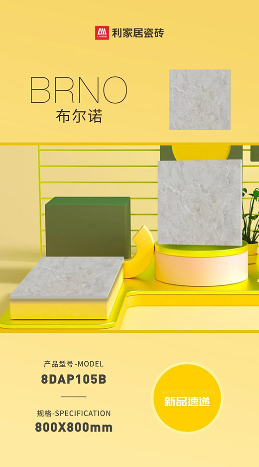 NEW ���c��Ȼ���������c�����N����Ȼ�΃�֮��