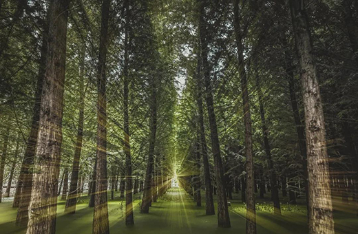 ϲӍح2021����냞(y��u)��������!ǧ���۾C�ό����٫@�J(r��n)��