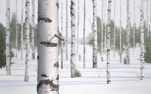 �����M(j��n)�A!�B(y��ng)�����M(j��n)�����w���w������