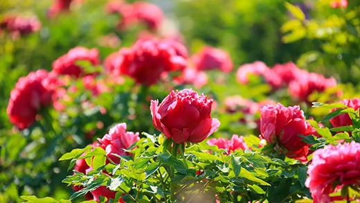 �뮀���� | �аl(f��)������(j��)����؛��(d��ng)�ԏ�(qi��ng)