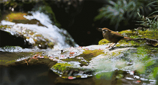 �������T(m��n)�I(y��)ح����է��(d��ng)���f(w��n)�����C(j��)��Ȼ