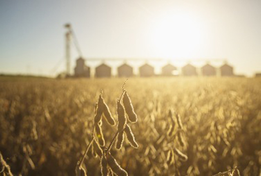 �󶹃r(ji��)�񱩝q���ƽ�10���λ!�B(y��ng)�i��I(y��)�سɱ���������Ҫ�p����