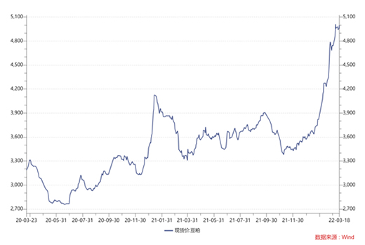 大豆價格暴漲，逼近10年高位!養(yǎng)豬企業(yè)控成本，二師兄要減餐了