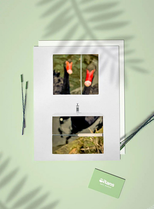 歐路莎衛(wèi)?。毫糇〈喝盏慕k爛，迎接盛夏的繁華