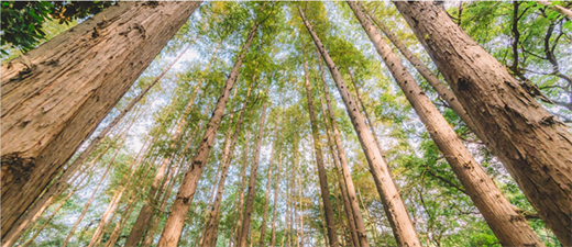 �Ì���OSB�����ð��о�x��