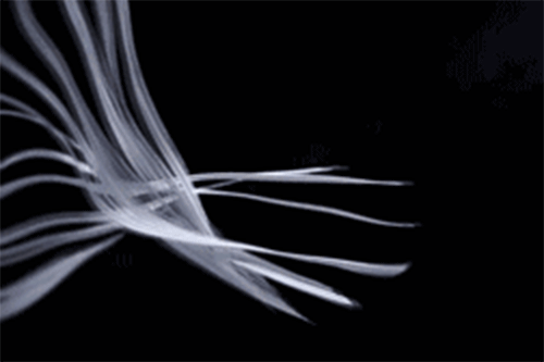 ��؛ | ���ҿƼ���ɳ�l(f��)��7��(y��u)���㶼�˽��?