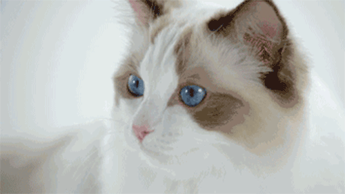 ��؛ | ���ҿƼ���ɳ�l(f��)��7��(y��u)���㶼�˽��?