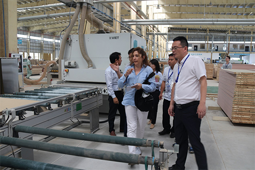 ���ˮ���c����ľ�I(y��)�_�ɑ�(zh��n)�Ժ�����������Gɫ������g!