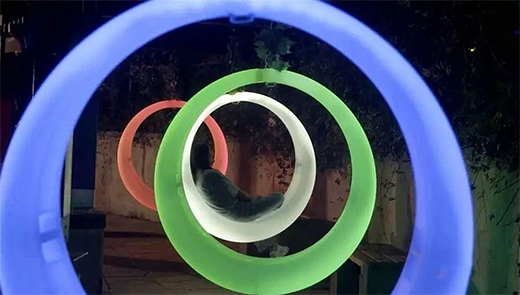 ���������c���������̡�!���ҹ������ȫ������