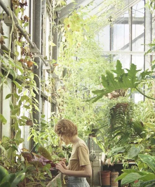 ꖹⷿ�����@�����ȫ���x�