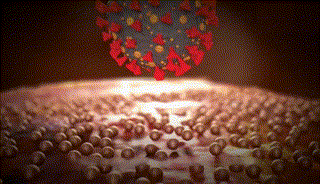 �ܲ��е�Ӳ�˚������֡������~��