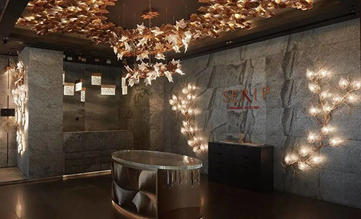 SERIP | �@�G���貟����������õ�ˇ�g(sh��)����