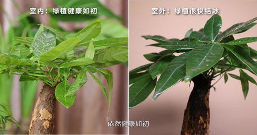 ���������������{�O��Ӳ���Ɵ�����(zh��n):�����Ɵ�,׌����핿�׃ů��!