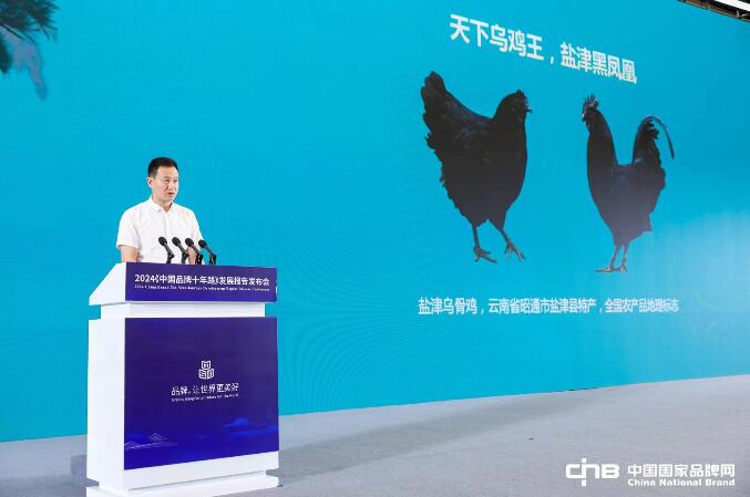 鹽津?yàn)豕请u：天下烏雞王，鹽津黑鳳凰