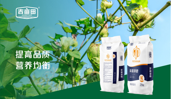 �����ﻯ�ʣ�Ʒ��ȫ������(j��)�����i�޻����ʠI(y��ng)�N(xi��o)���˄�(sh��)