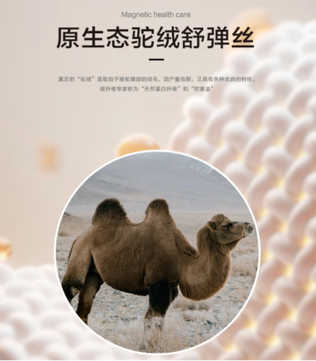 ̽������˯�ߊW�أ������R�Ҿ�ϯ����ԭ���B(t��i)���|��׌��������