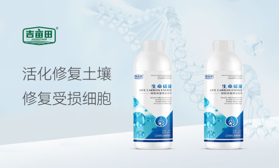 ���o(h��)�Gɫ��Ұ�������ﻯ�����I(l��ng)�r(n��ng)�I(y��)�ɳ��m(x��)�l(f��)չ